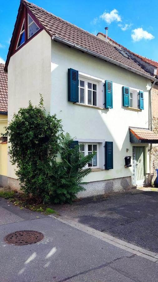 Schoenes Gemuetliches Haus Toplage Freinsheim Bagian luar foto