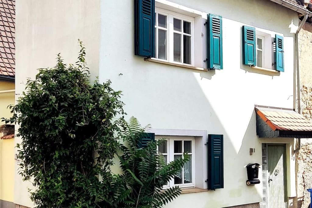 Schoenes Gemuetliches Haus Toplage Freinsheim Bagian luar foto